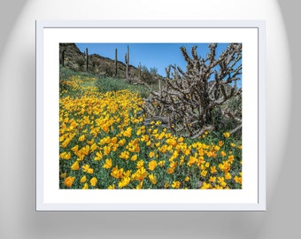 Arizona Picacho Peak Poppies Art Print as Desert Decor for Home