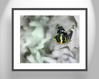 Wall Decor with Ephemeral Butterfly Nature Art Print