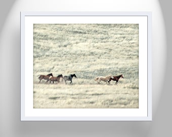 Wild Horse Art Photography Print as Equine Wall Decor for Home or Office