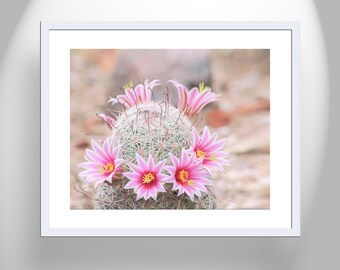 Pink Flower Art Print with American Desert Cactus