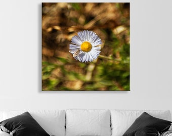 Wall Canvas Spring Nature Art Print with Wildflower and Bumble Bee