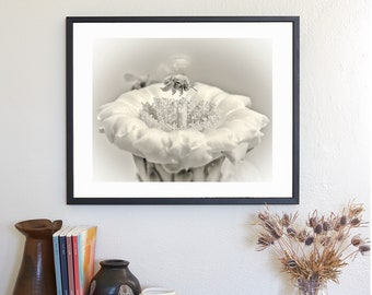 Fine Art for Home with Cactus Blossom and Bumble Bee in Arizona Desert