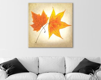 Autumn Leaves Botanical Art Print with Maple Leaf on Square Framed Print as Home Decor Gift