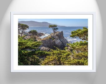 Lone Cypress Tree Carmel by the Sea Art Print at Pebble Beach California as Home Decor Gift for Her