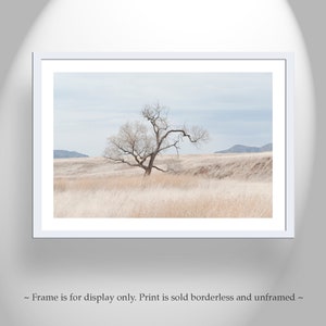 Landscape Photography Print of Southwest Prairie Grasslands Etsy's Pick