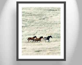 Wild Horse Wall Art Print