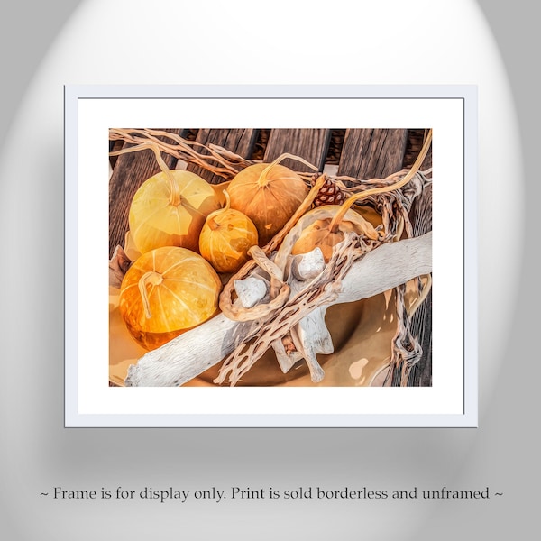 Food Photography Still Life Print with Gourds in Southwestern Style