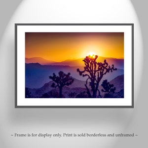 Joshua Tree Sunset Mojave Desert Photo Art for Home