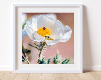 Floral Home Decor in Southwestern Style with Sonoran Bumble Bee and Poppy Wildflower