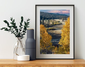 Quaking Aspen Trees in Western Landscape as Nature Wall Decor Photograph