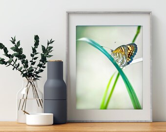 Nature Wall Art with Butterfly in Minimalist Style