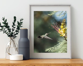 Bird Wall Decor for Home with Hummingbird in Flight