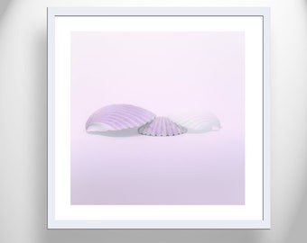 Bathroom Wall Decor with Pastel Seashells in Periwinkle Blue