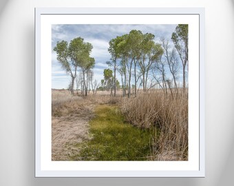 Western Landscape Photograph of Wild Prairie Grasslands as Nature Lover Gift