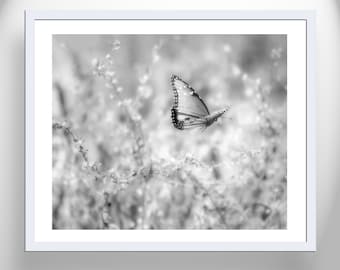 Black and White Fine Art Print with Flying Butterfly by Murray Bolesta