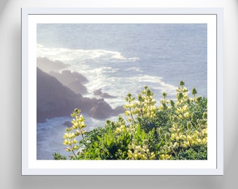 Coastal Wildflower Art Print at Point Reyes Marin County California as Wall Decor for Home or Office