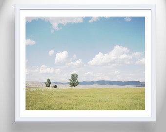 Prairie Landscape Photography Print with Log Cabin as Wall Decor for Home or Office