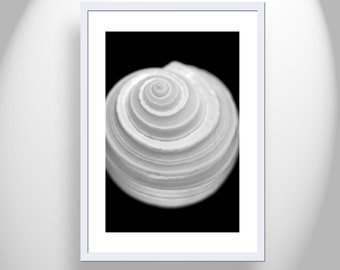 Bathroom Wall Art with Seashell in Black and White
