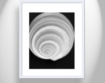 Bathroom Wall Art with Seashell in Black and White on Framed Canvas