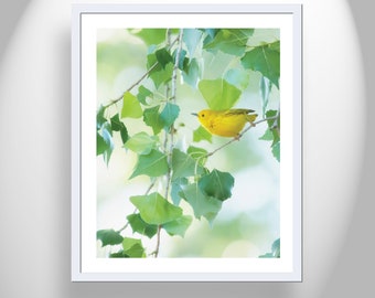 Home Decor Print with Warbler Bird in Pastel Green and Yellow