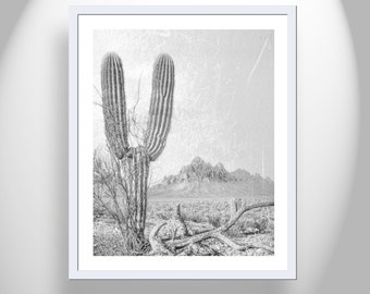 Cactus Art Print in Black and White from Tucson Arizona Desert