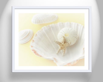 Wall Art with Seashells in Pale Yellow as Bathroom Decor