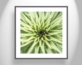 Vibrant Botanical Print with Green Desert Agave by Murray Bolesta