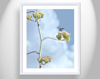 Fine Art Home Decor with Agave Century Plant and Flying Hummingbird