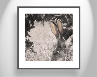 Southwestern Desert Wall Decor with Jackrabbit Picture and Cactus
