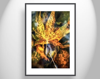 Home Decor Wall Print with Sycamore Leaf in Water Abstract Botanical Art