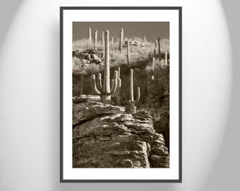 Desert Landscape Print with Saguaro Cactus in Canyon