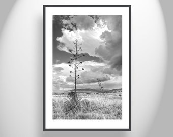 Huachuca Mountains and Arizona Desert Monsoon Storm Landscape Art Print in Black and White