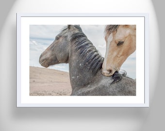 Horse Art Wall Decor Print