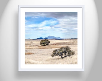 Painterly Wall Art with Prairie Grasslands Landscape on Arizona Border