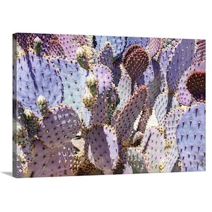 Purple Prickly Pear Cactus Wall Art – Santa Rita Mountains Desert Botanical Print, Southwestern Home Decor, Arizona Photography