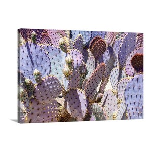 Purple Prickly Pear Cactus Print by Murray Bolesta - Etsy