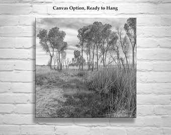 Black and White Landscape Photography of Wild Southern Arizona Grasslands as Nature Lover Gift