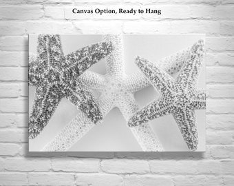 Starfish Photography Print in Black and White as Wall Art for Bath or Home