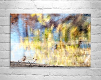 Painterly Art Nature Print with Cute Bird and Water Reflections with Fall Colors