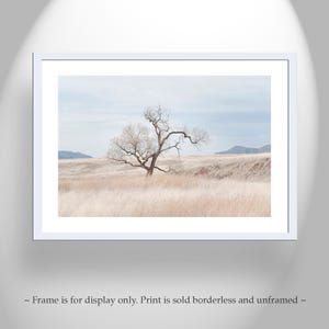 Landscape Photography Print of Southwest Prairie Grasslands Etsy's Pick image 4