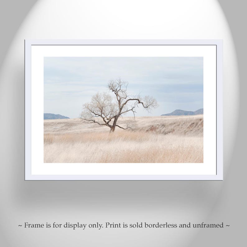 Landscape Photography Print of Southwest Prairie Grasslands Etsy's Pick image 4