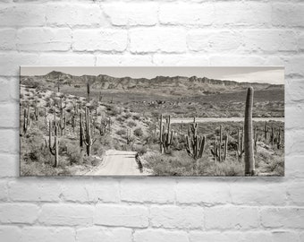 Desert Panoramic Wall Art Print with Saguaro Cactus in Tucson Arizona