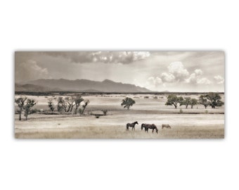 Fine Art Print with Horse Landscape in Panorama by Murray Bolesta