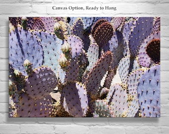 Purple Prickly Pear Cactus Print by Murray Bolesta