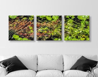 Fine Art Nature Photography in Spring Green Set of 3 Discounted Art Prints