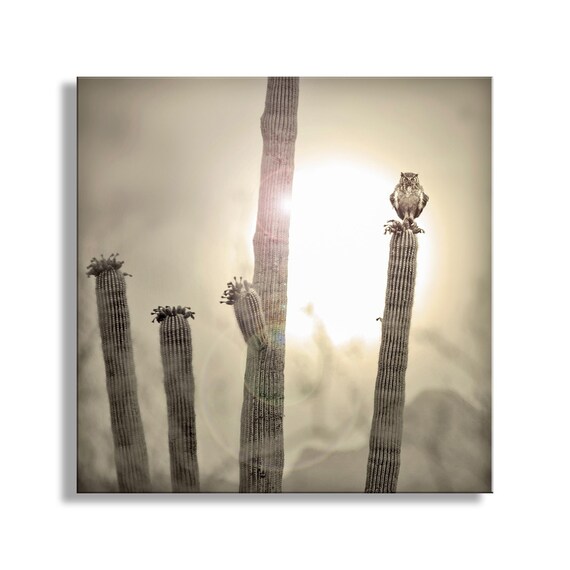 Great Horned Owl Art Print | Sonoran Desert Sunset Landscape
