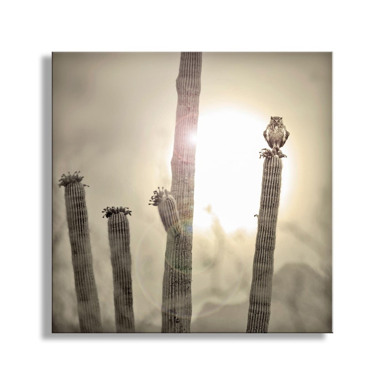 an owl perched on top of a tall cactus