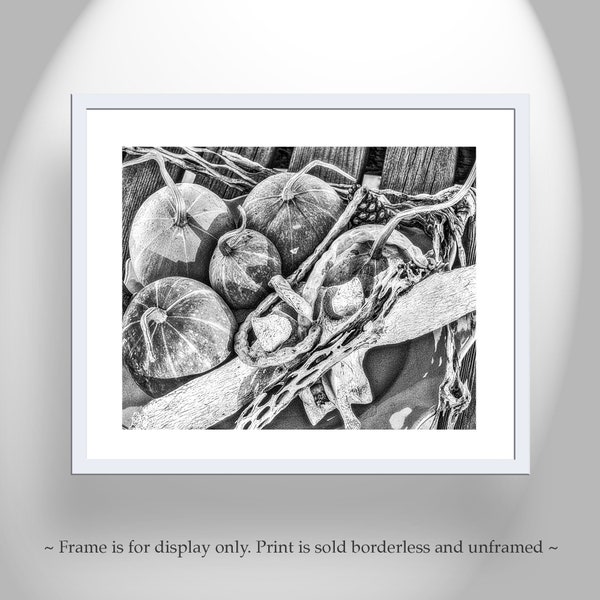 Still Life Fine Art in Black and White or Sepia tone with Gourds