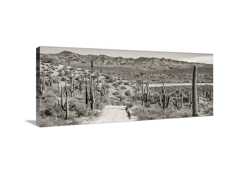 Desert Panoramic Art with Saguaro Cactus in Tucson Arizona image 3