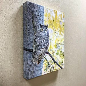 Owl Wall Art Photography with Great Horned Owl Bird in Autumn image 5